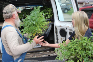 Shawn Kinneer loads his van with the tomato plants.